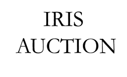 Auction of contemporary Czech and Slovak art